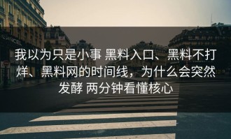 我以为只是小事 黑料入口、黑料不打烊、黑料网的时间线，为什么会突然发酵 两分钟看懂核心