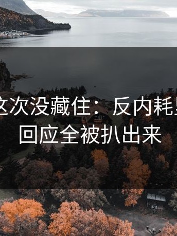 糖心TV这次没藏住：反内耗里当事人回应全被扒出来