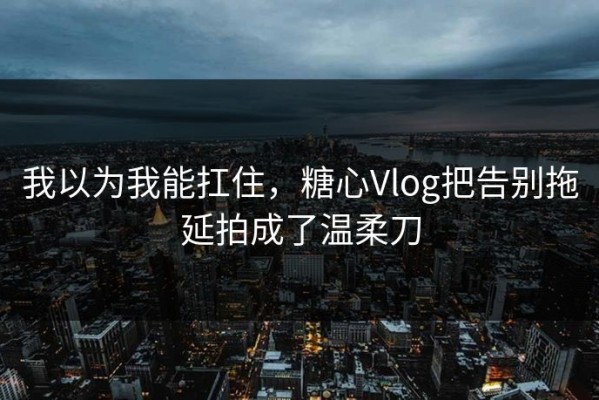 我以为我能扛住，糖心Vlog把告别拖延拍成了温柔刀