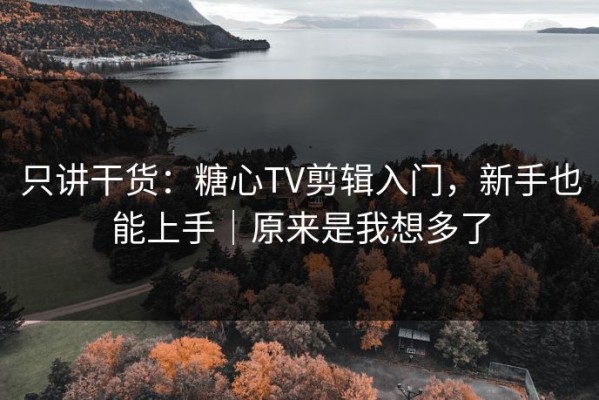 只讲干货：糖心TV剪辑入门，新手也能上手｜原来是我想多了