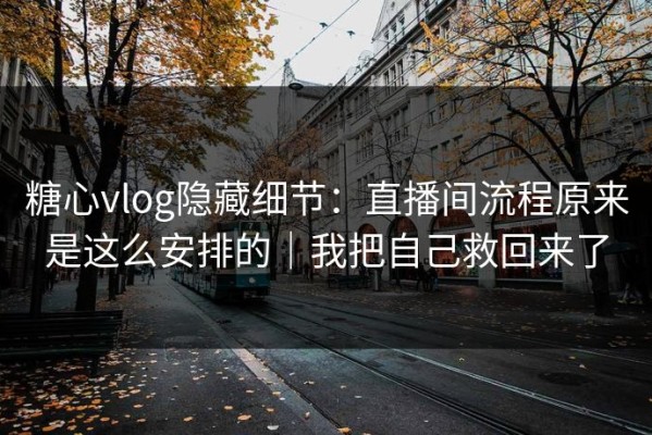 糖心vlog隐藏细节：直播间流程原来是这么安排的｜我把自己救回来了