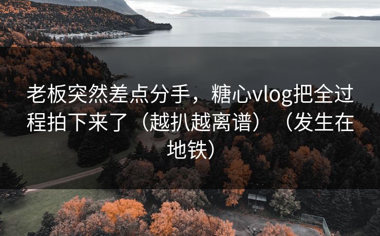 老板突然差点分手，糖心vlog把全过程拍下来了（越扒越离谱）（发生在地铁）