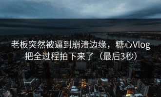 老板突然被逼到崩溃边缘，糖心Vlog把全过程拍下来了（最后3秒）