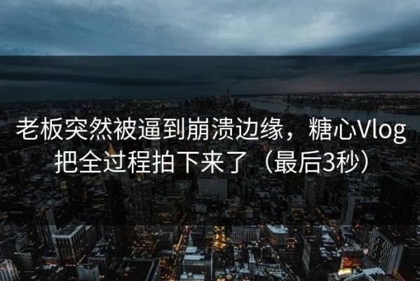 老板突然被逼到崩溃边缘，糖心Vlog把全过程拍下来了（最后3秒）