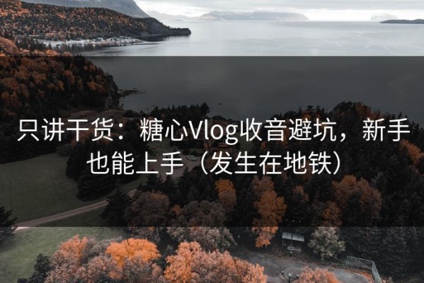 只讲干货：糖心Vlog收音避坑，新手也能上手（发生在地铁）