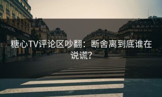 糖心TV评论区吵翻：断舍离到底谁在说谎？