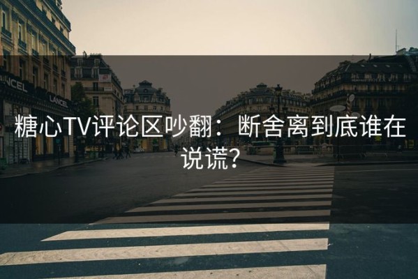 糖心TV评论区吵翻：断舍离到底谁在说谎？