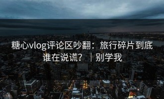 糖心vlog评论区吵翻：旅行碎片到底谁在说谎？｜别学我