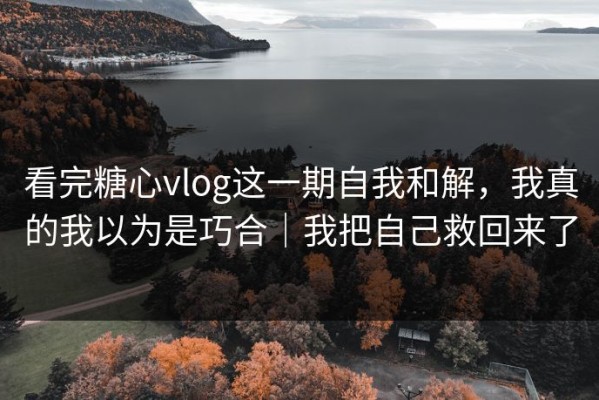看完糖心vlog这一期自我和解，我真的我以为是巧合｜我把自己救回来了