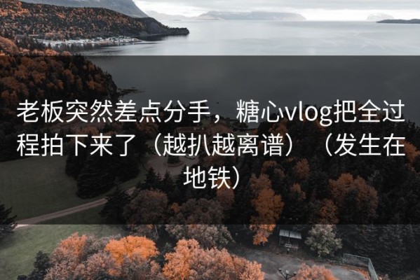 老板突然差点分手，糖心vlog把全过程拍下来了（越扒越离谱）（发生在地铁）
