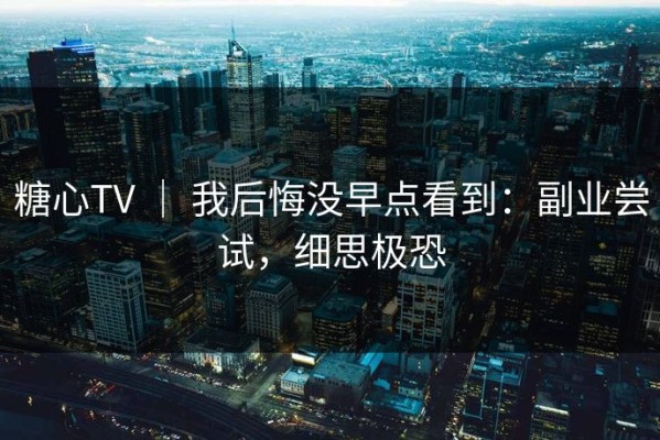 糖心TV ｜ 我后悔没早点看到：副业尝试，细思极恐