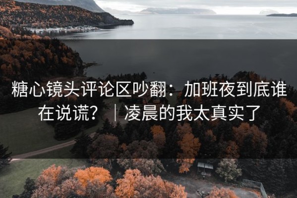 糖心镜头评论区吵翻：加班夜到底谁在说谎？｜凌晨的我太真实了