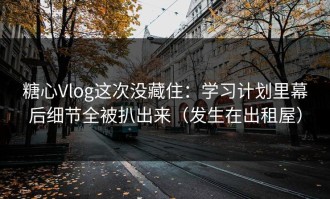 糖心Vlog这次没藏住：学习计划里幕后细节全被扒出来（发生在出租屋）