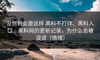 没想到会是这样 黑料不打烊、黑料入口、黑料网的更新记录，为什么会被误读（情绪）