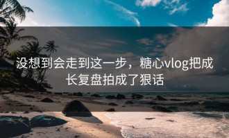 没想到会走到这一步，糖心vlog把成长复盘拍成了狠话