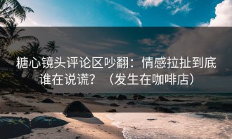 糖心镜头评论区吵翻：情感拉扯到底谁在说谎？（发生在咖啡店）
