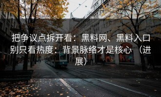 把争议点拆开看：黑料网、黑料入口别只看热度：背景脉络才是核心 （进展）