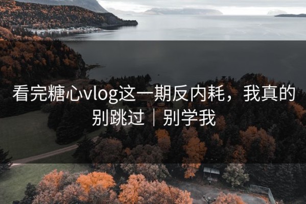 看完糖心vlog这一期反内耗，我真的别跳过｜别学我