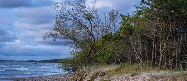 忍了很久还是说了，原来家庭小事也会这么反常识（最后3秒）（发生在出租屋）