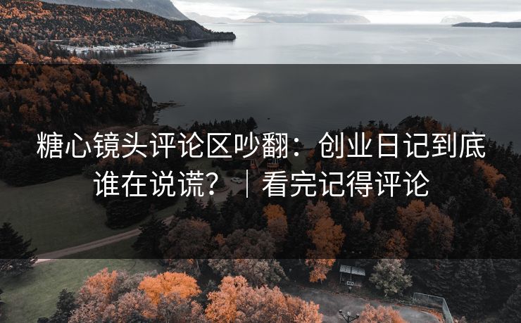 糖心镜头评论区吵翻：创业日记到底谁在说谎？｜看完记得评论