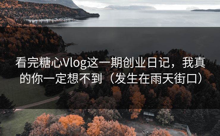 看完糖心Vlog这一期创业日记，我真的你一定想不到（发生在雨天街口）