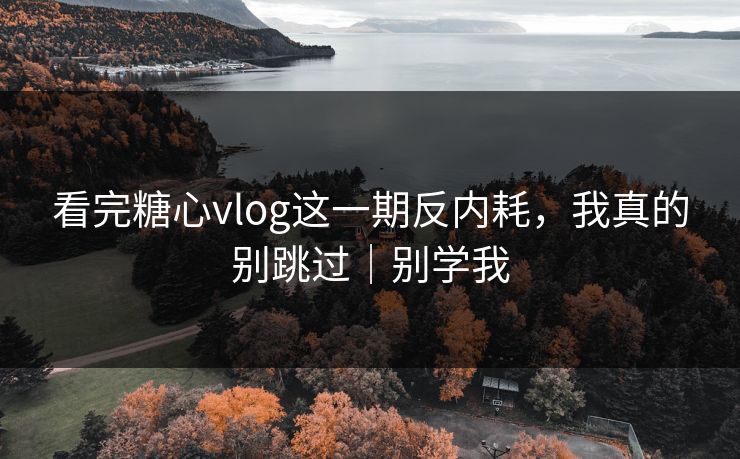 看完糖心vlog这一期反内耗，我真的别跳过｜别学我
