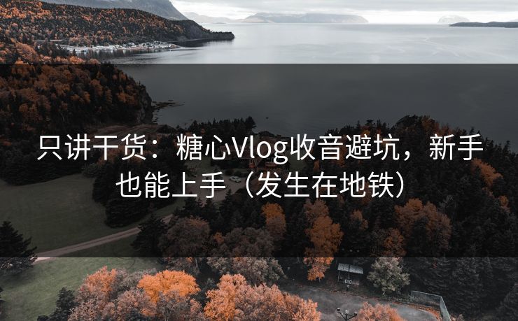 只讲干货：糖心Vlog收音避坑，新手也能上手（发生在地铁）