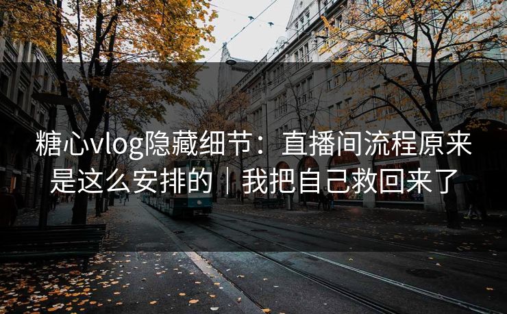 糖心vlog隐藏细节：直播间流程原来是这么安排的｜我把自己救回来了