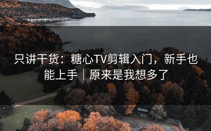 只讲干货：糖心TV剪辑入门，新手也能上手｜原来是我想多了